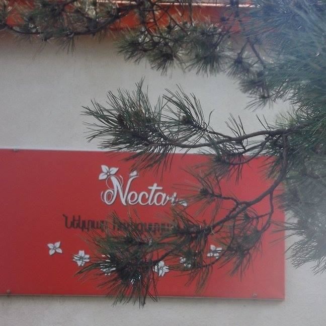 Отель nectar hotel Степанаван-24